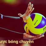 Cá Cược Bóng Chuyền