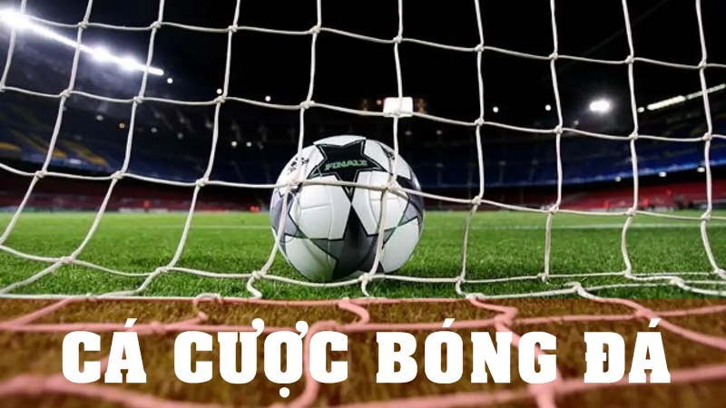 Cá Cược Bóng Đá