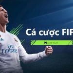 Cá cược FIFA