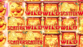 Casino Banner